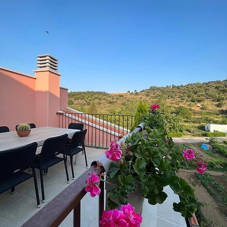 Apartamentos La Flor San Martín de Moncayo Buitenkant foto