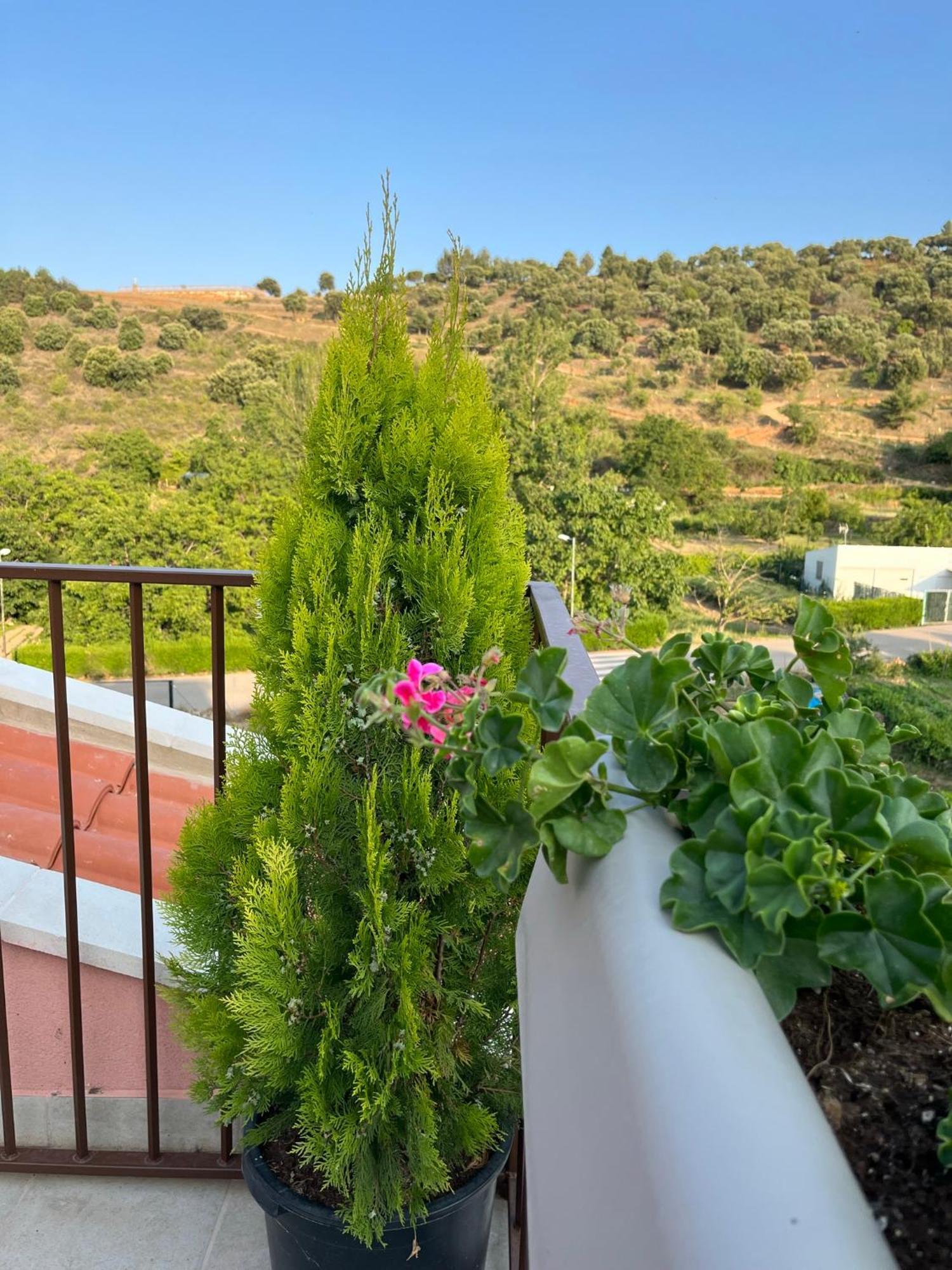 Apartamentos La Flor San Martín de Moncayo Buitenkant foto